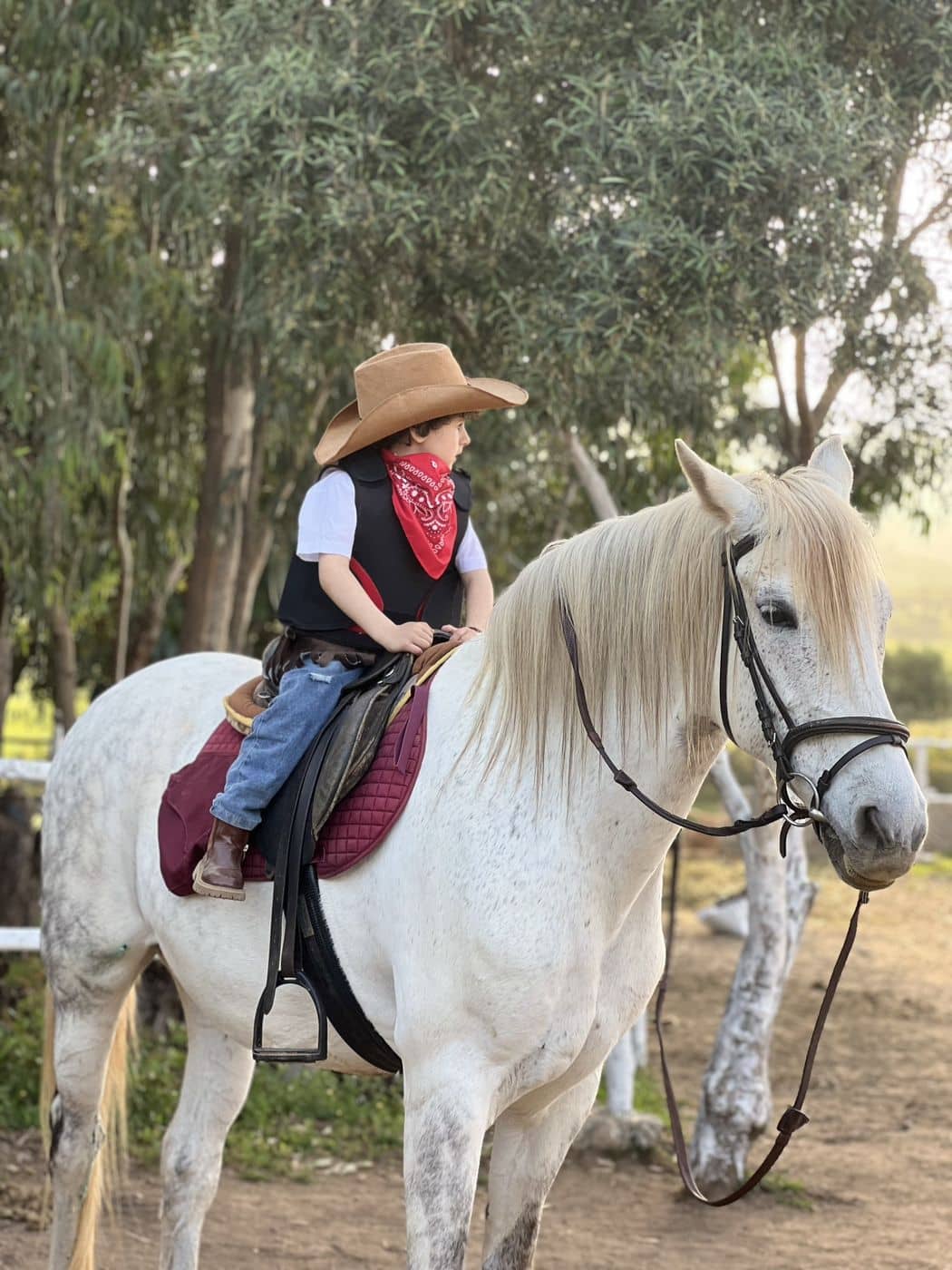 Un enfant en chapeau de cow-boy sur un cheval blanc