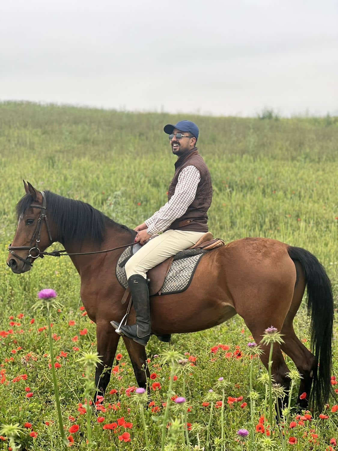 Un cavalier dans un champ de coquelicots